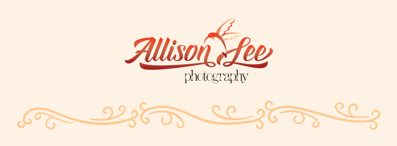 Allison Lee Photography logo